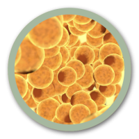 dehube-cremamoldeadora-15